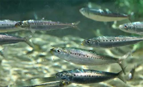 �o�������~