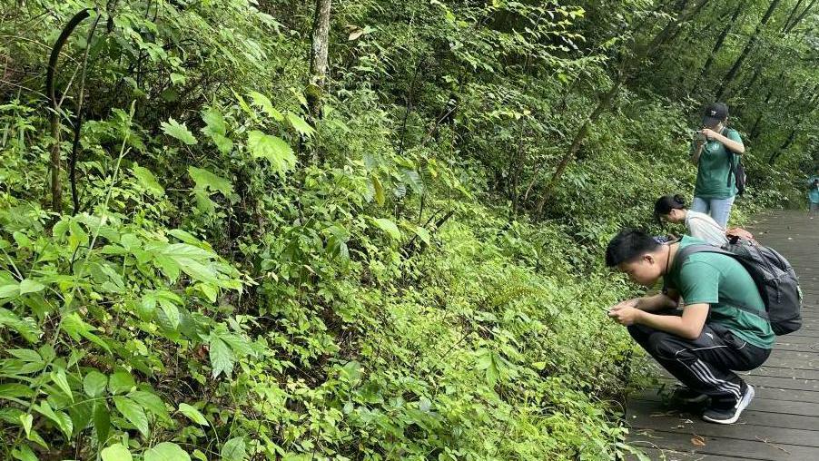 �A�r�W�Ӹ����r���{�����B�Ļ����O