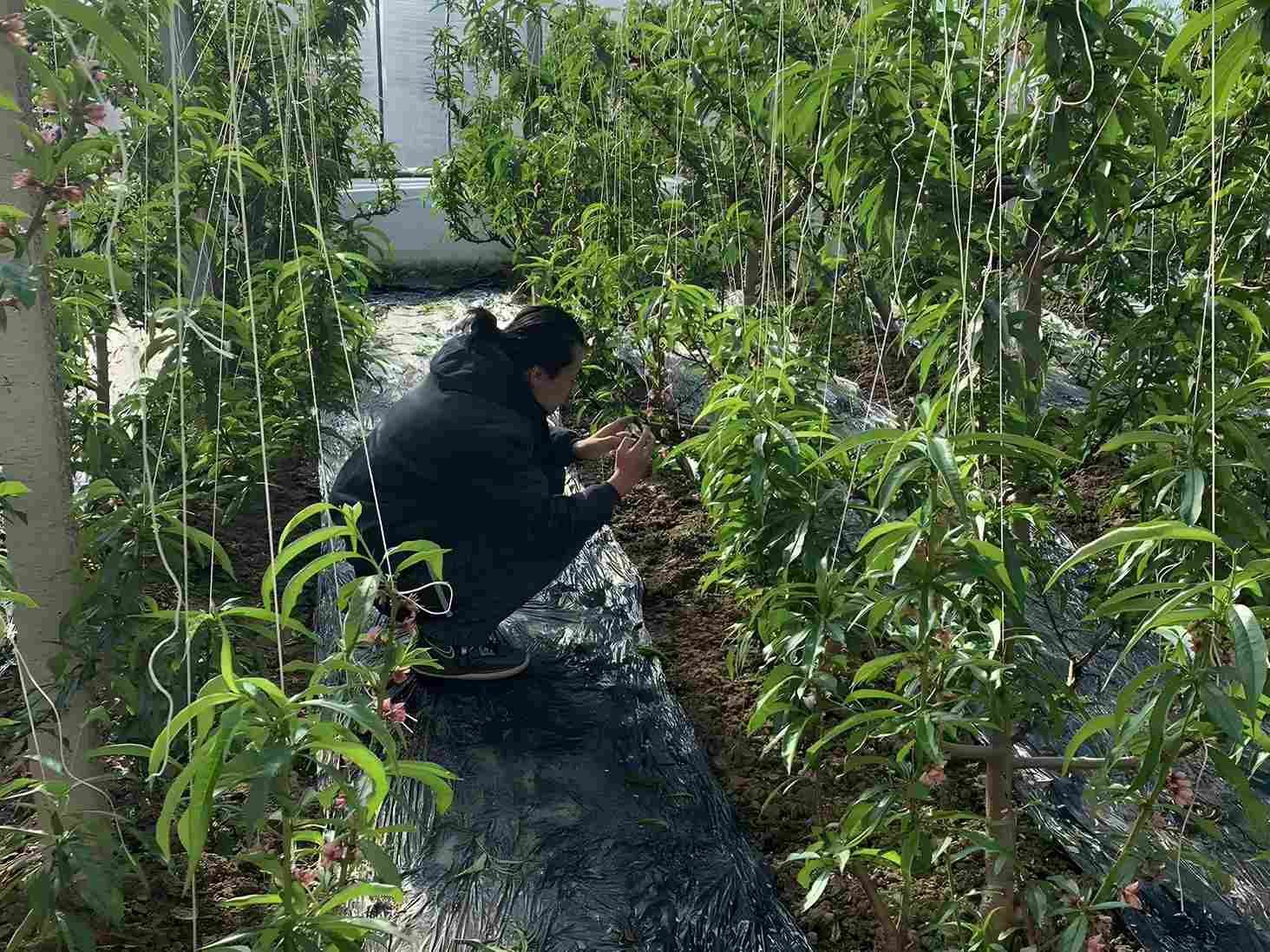 ���Ĕz�����l���������l�����d�����`꠸�ȫ��ʮ���_չ���R�^ӛ��l�����d������������`