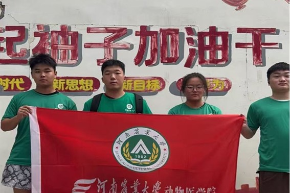 �ഺ�����l(xi��ng)��·����(sh��)�`�x�����d;