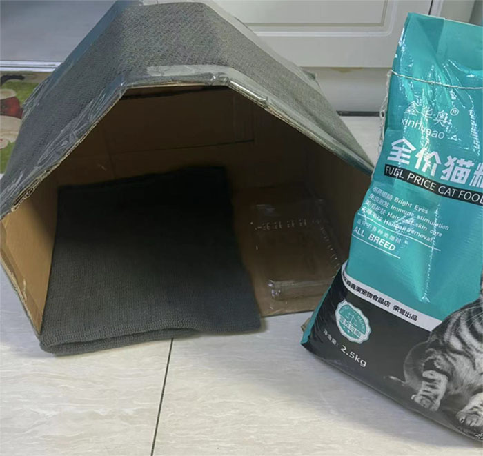 ������ɫ�� ׌�۲�����