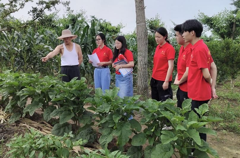 �Ӻ���W(xu��)��(sh��)�`�F(tu��n)�����|����ֱ�(zh��n)�_չ�r(n��ng)���{(di��o)��