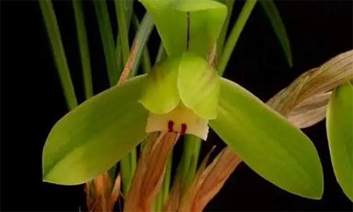 ���~����