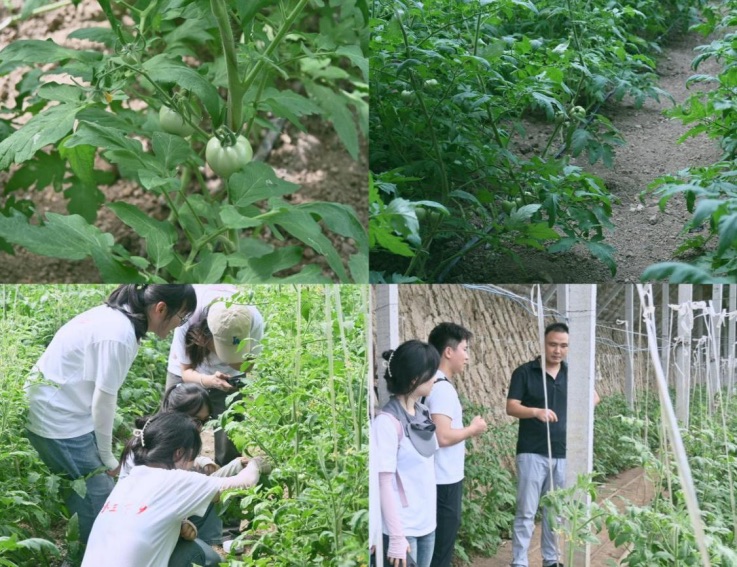 ̤�L����������̽�ط���ů�� �������܌WԺ���}�I�L�����F� 2025�����ڡ������l��������`��ӣ�����