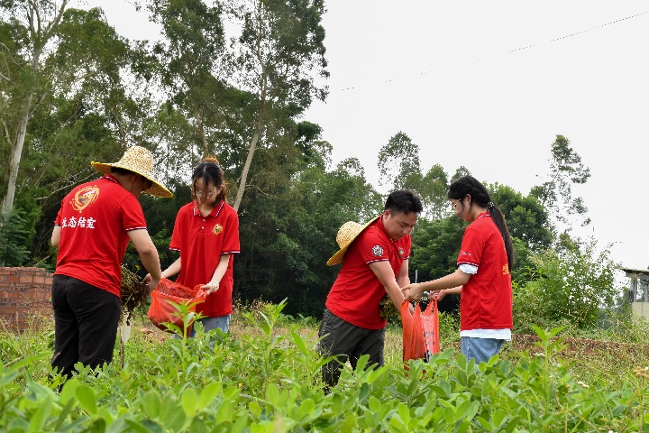 �G�΢�⡤�G������|���H�����WԺ��ǧ�fͻ������������(zh��n)�_չ�ն��C�������{(di��o)���c�Gɫ�r(n��ng)�I(y��)����