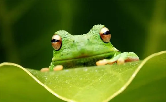 ���ܵĹ���