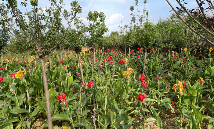 �l�g���E�r���ɾͰlչ�^��F���ɶ����ѽ��h�Fţ���_չ�{��