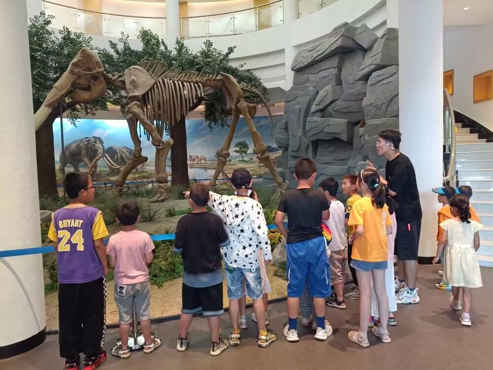 ֧���ĵã����Ҋ�����¹⡪����֧��������С���т�