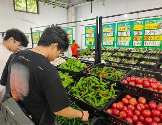 �L����W��������u������`����뼯���̳��{�������Ј���r