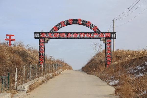 �r�����D�Y��������������������t��