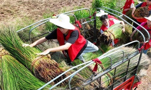 ���Ϻ�����A��W(xu��)�_չ�������(hu��)��(sh��)�`���(d��ng)���r(n��ng)����