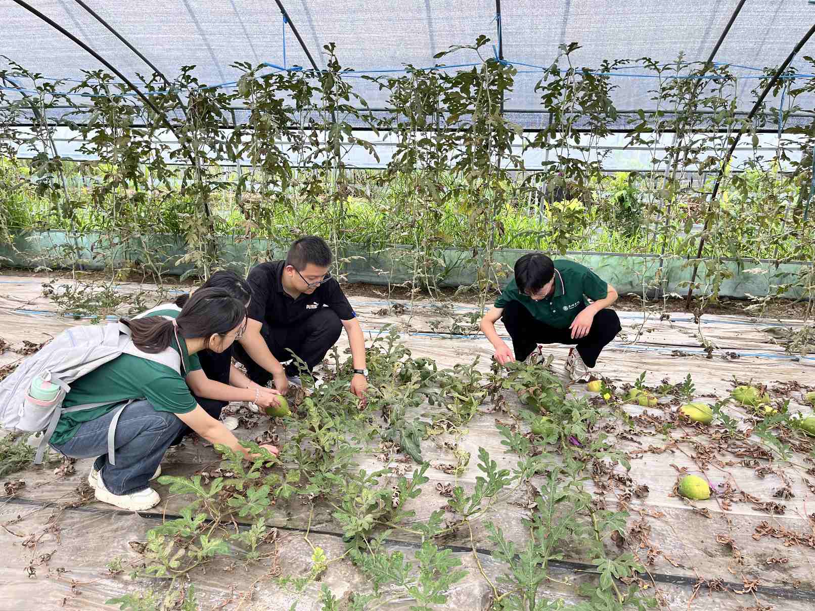 ���ߡ������飬������f��F������Ј�����ϴ���a�I�lչ��̽���l�����d��·��