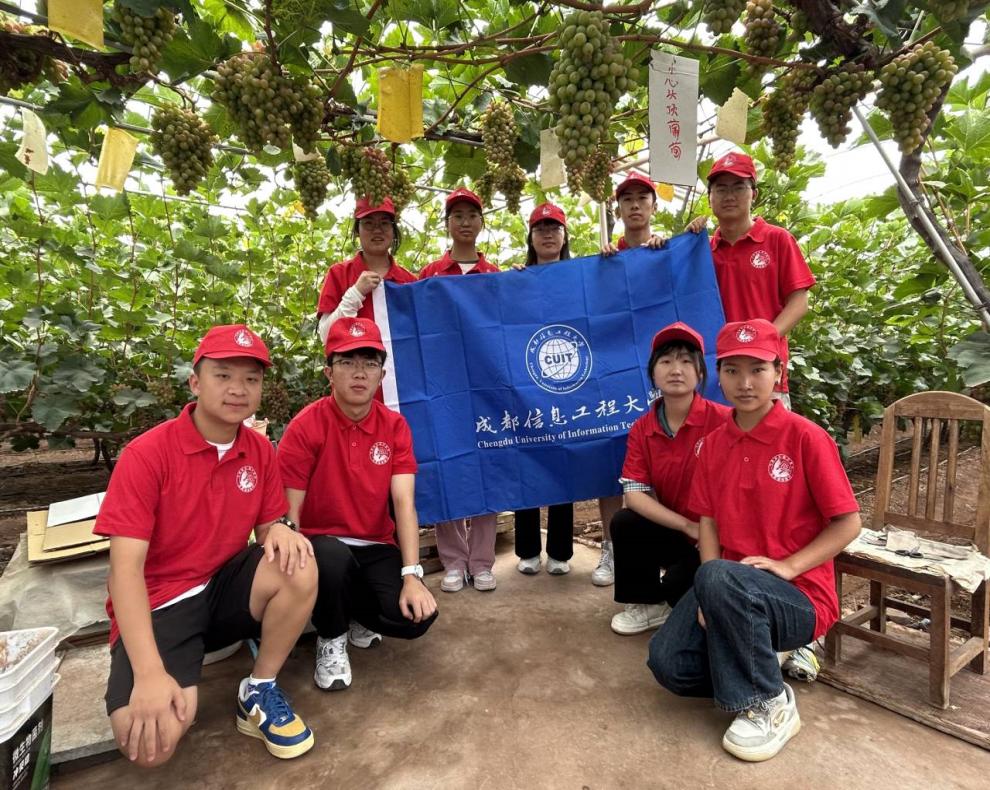 ���Ŵ�W�Ӛ�����Ĝp�ģ��������Û�ɽ