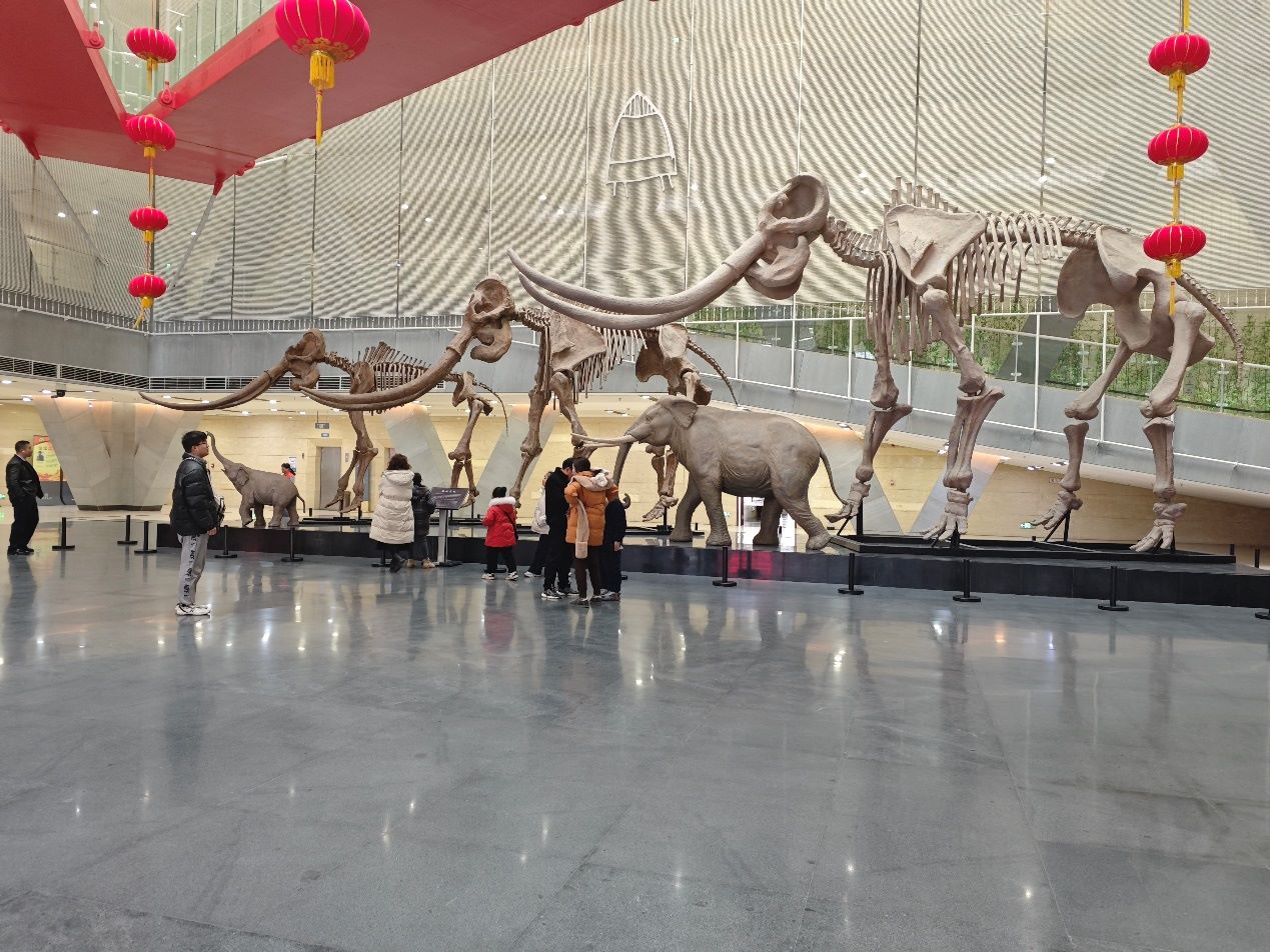 �p����ǧ���퍣������ٌ�(sh��)�`�³�