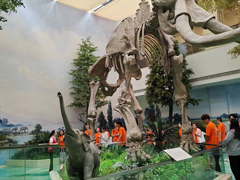 ���L��Ӳ����^�����ܼ��l�vʷ����