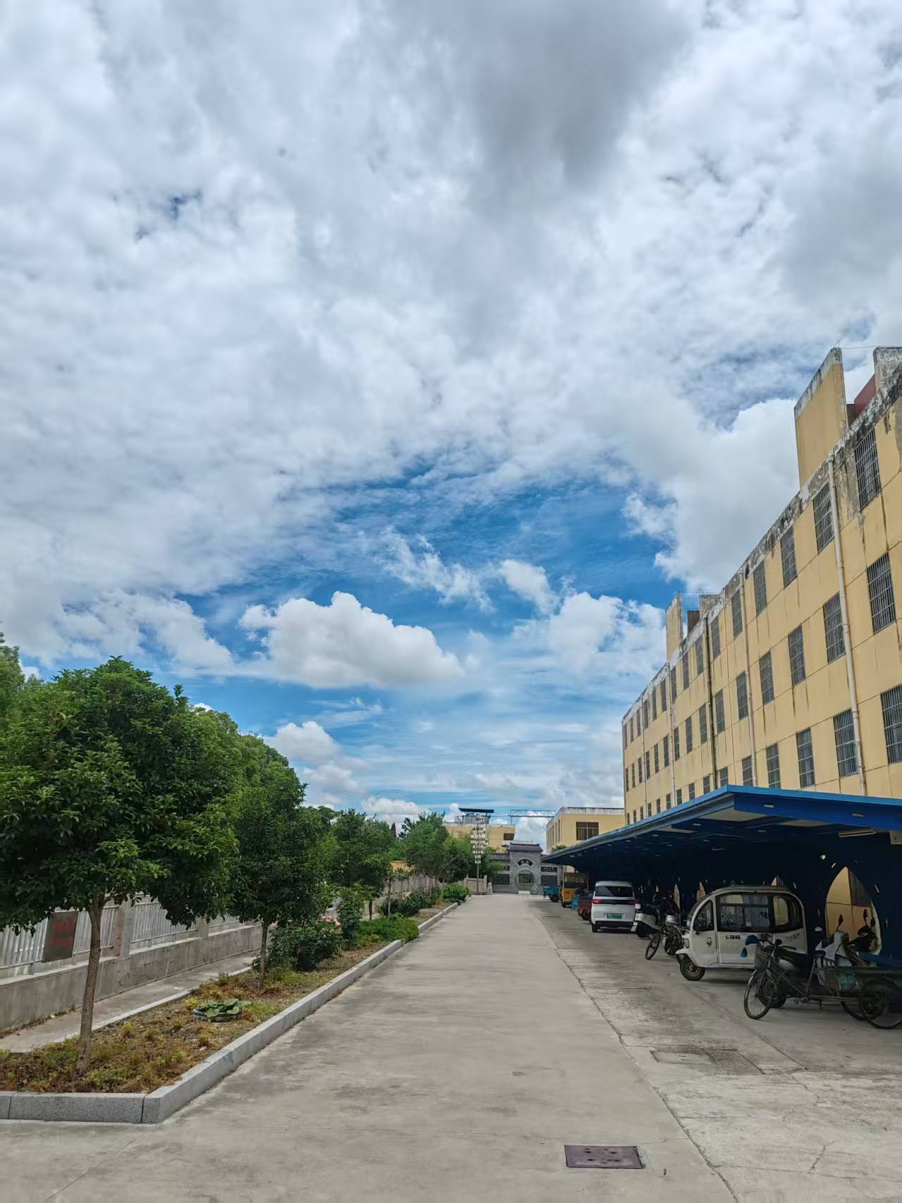 �d������WУ֧�̻��