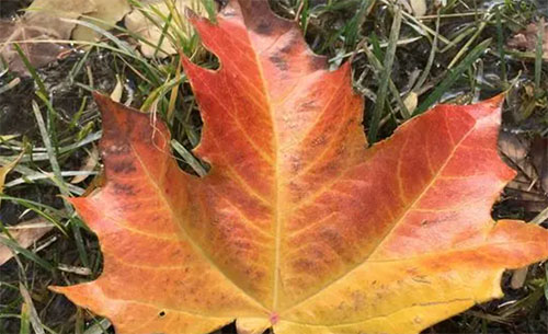 ��ˮ���^���g