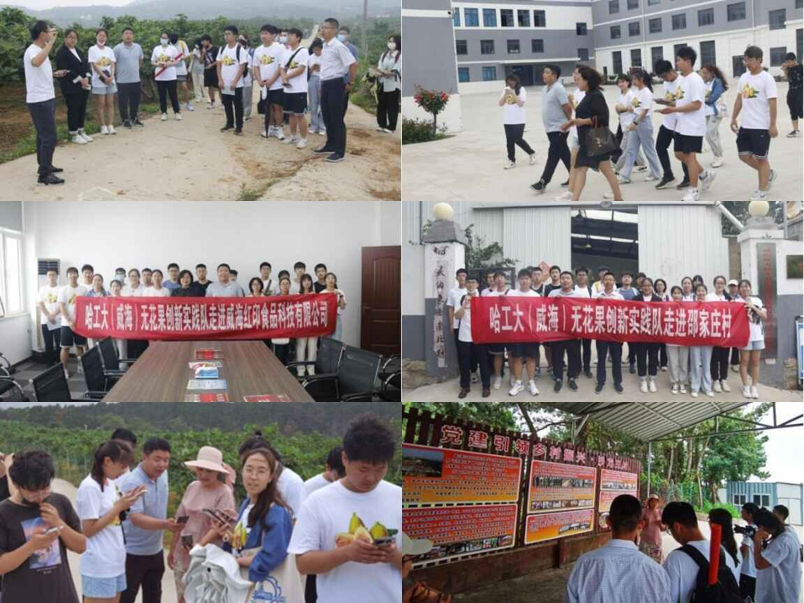 �{�����������۹��������r�`�š��¸�����