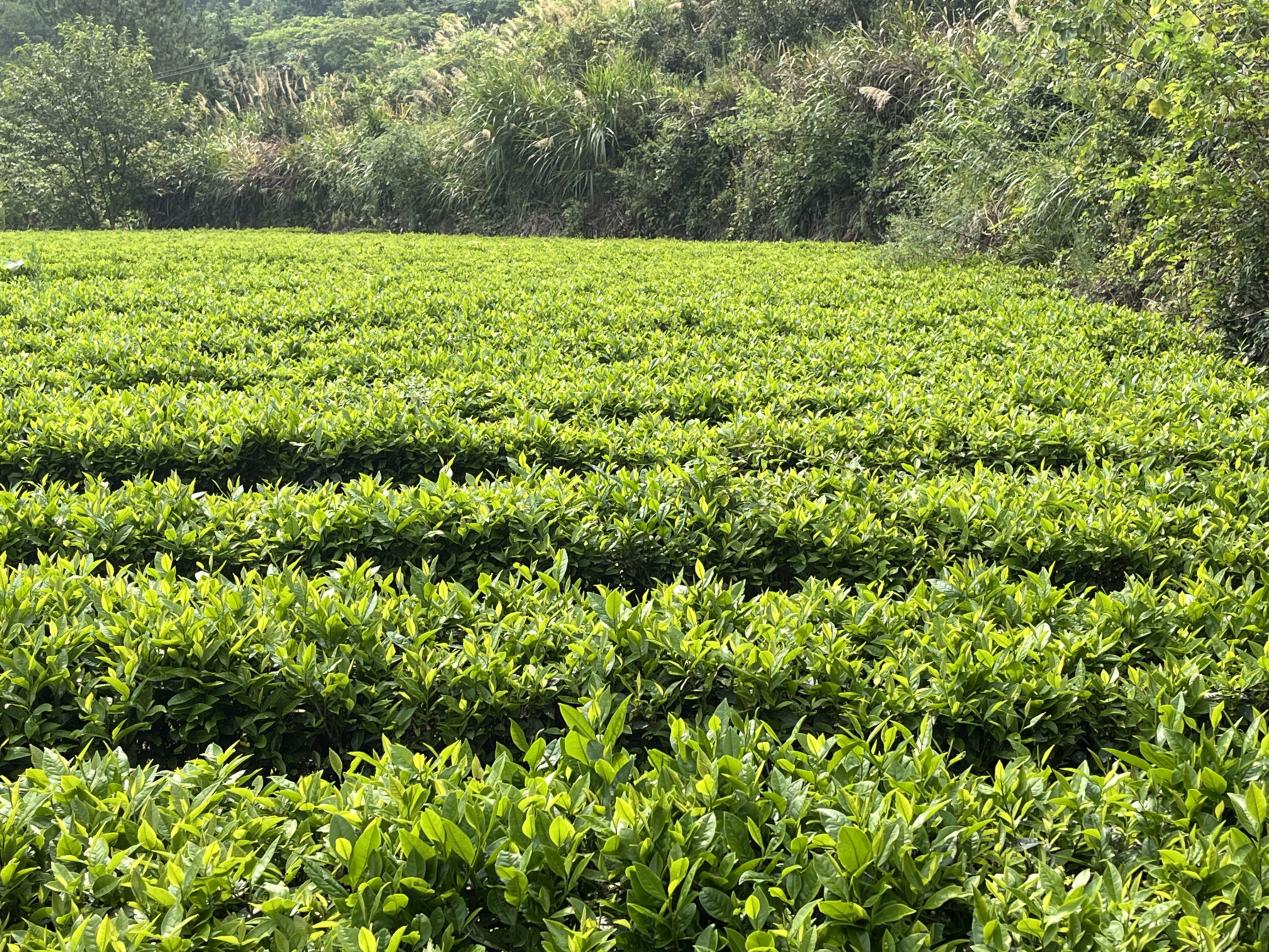 ����Ϫ֪�С����Lӛ����ɽ��ˮ�g�����Ϫ���B����