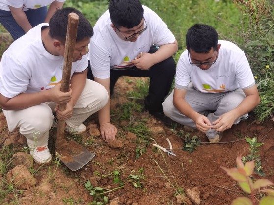 ����(b��o)ƽ������ϣ������Ұ�����L(zh��ng)