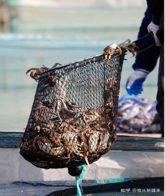 ��ʵ��½����r