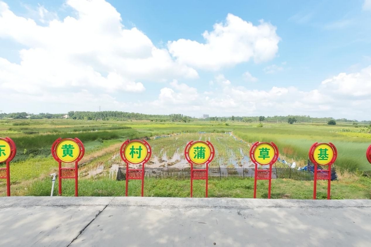 տ�ƌW(xu��)�ӡ������l(xi��ng)�����Ѳ�����(m��ng)���l(xi��ng)�s�|�S