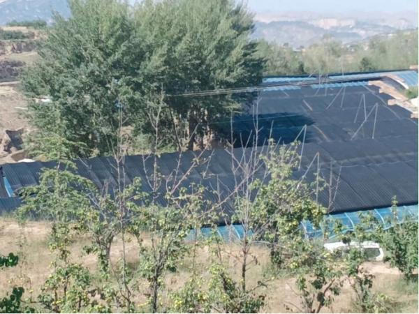 �ӹ���W�ӷ��lӛ�����M�������N���Ҹ�����