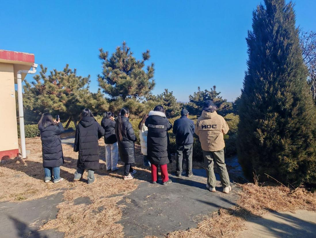 ���M��ɽ��̽����һĨ���µľG��