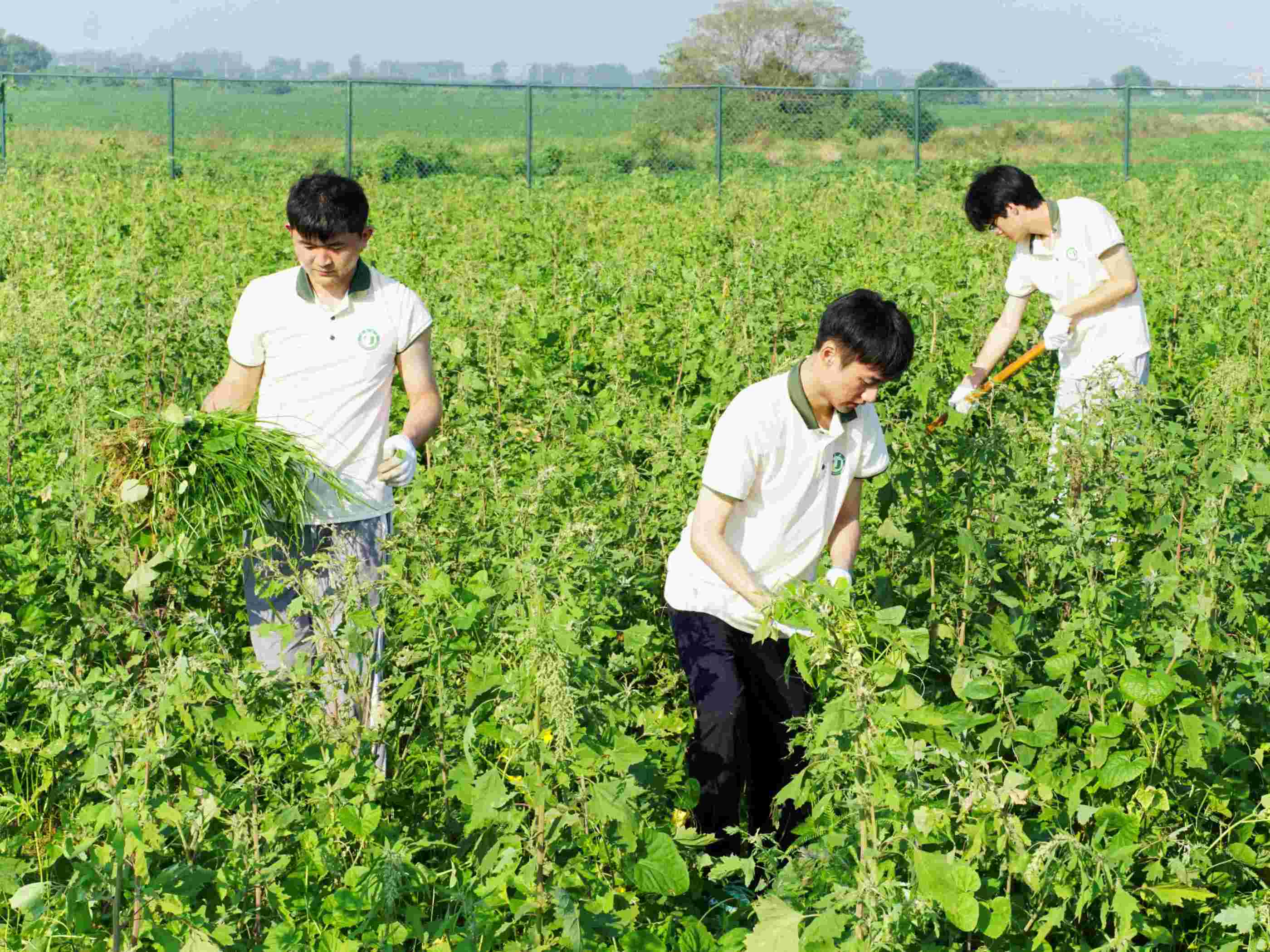 ���K��W����С���У��ഺ�GҰ���ūI����