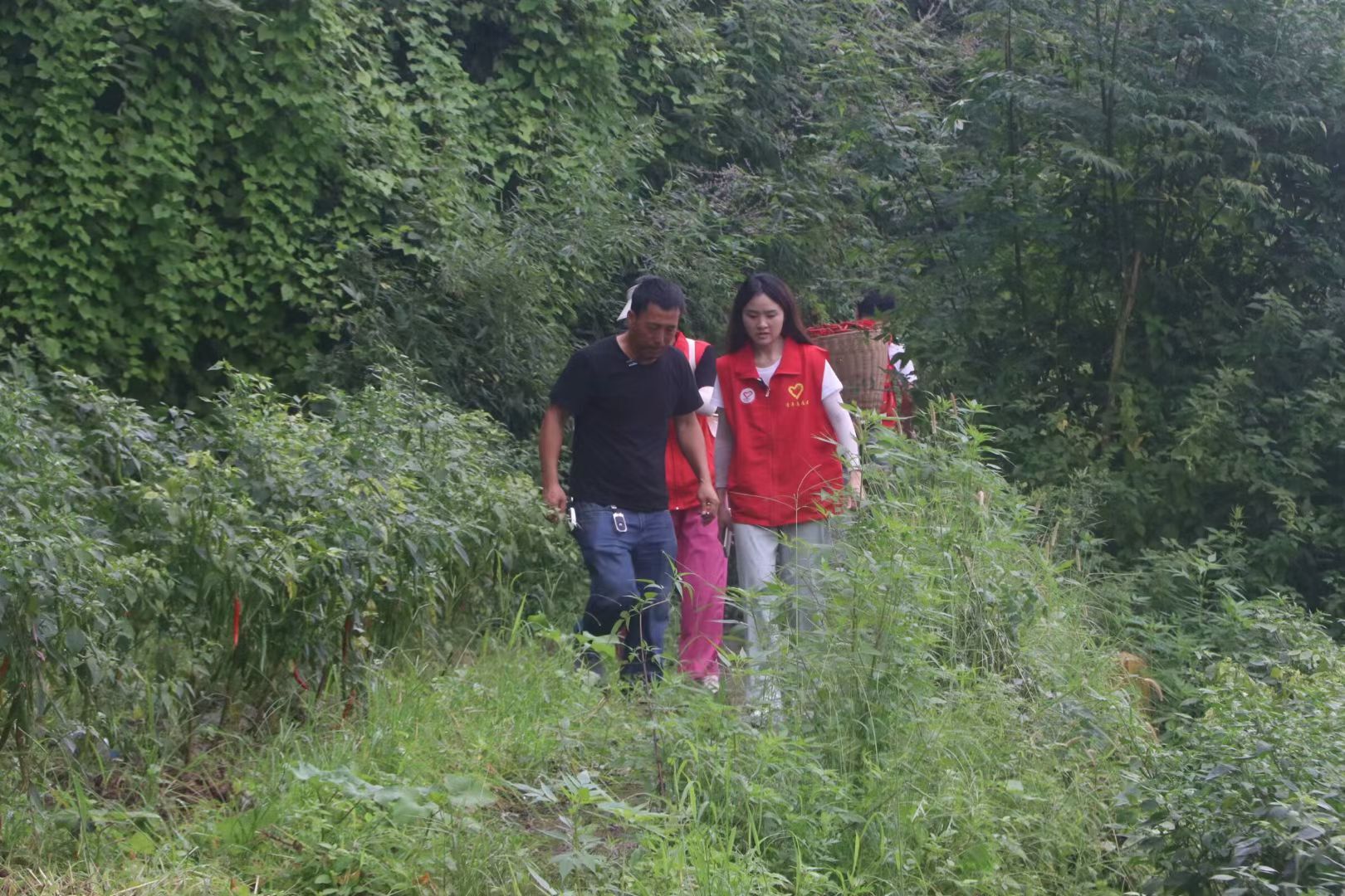 С��������¸��������������ͨ�W������ꖴ干�L�����S�ՈD