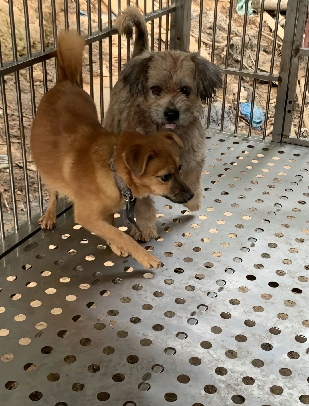 ��������ɫ�ʣ�׌�۲����ˡ�����������`�P�����˄��﹫���ӿ��Y