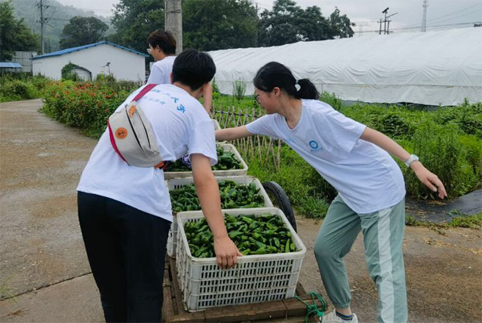 ���оGɫ���񣬌�Ғ���d֮��