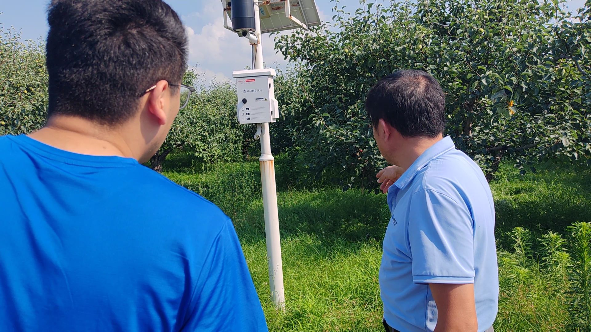 �������l(xi��ng)����(sh��)�`�F(tu��n)����Xɽ�������x�����l(xi��ng)�l(f��)չ�»���