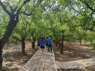 �Ї������W���t����Ԯ���l�����d���`�F--���������������