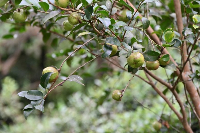 ���� ���֡� �ҝM���㣬һ��һζ��g�L