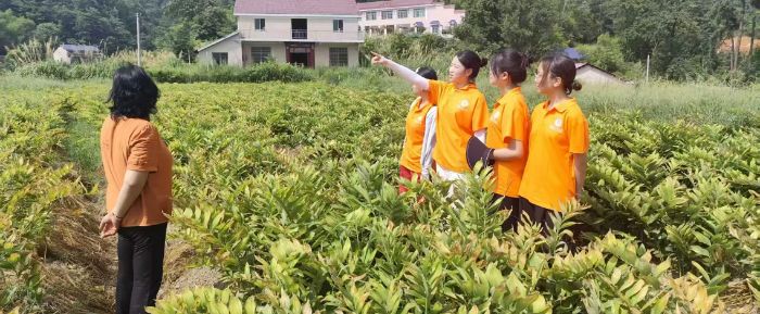 �����l�F������˒�l����������a�I�lչ