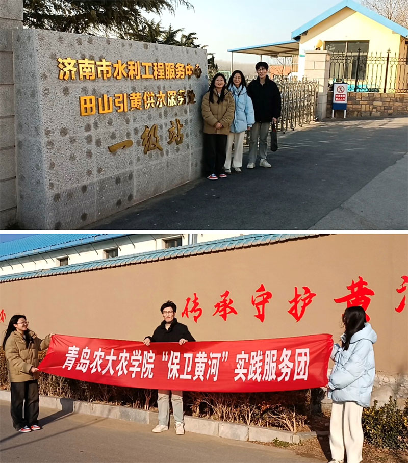 �����l�S�ӡ����`��ӈA�M���