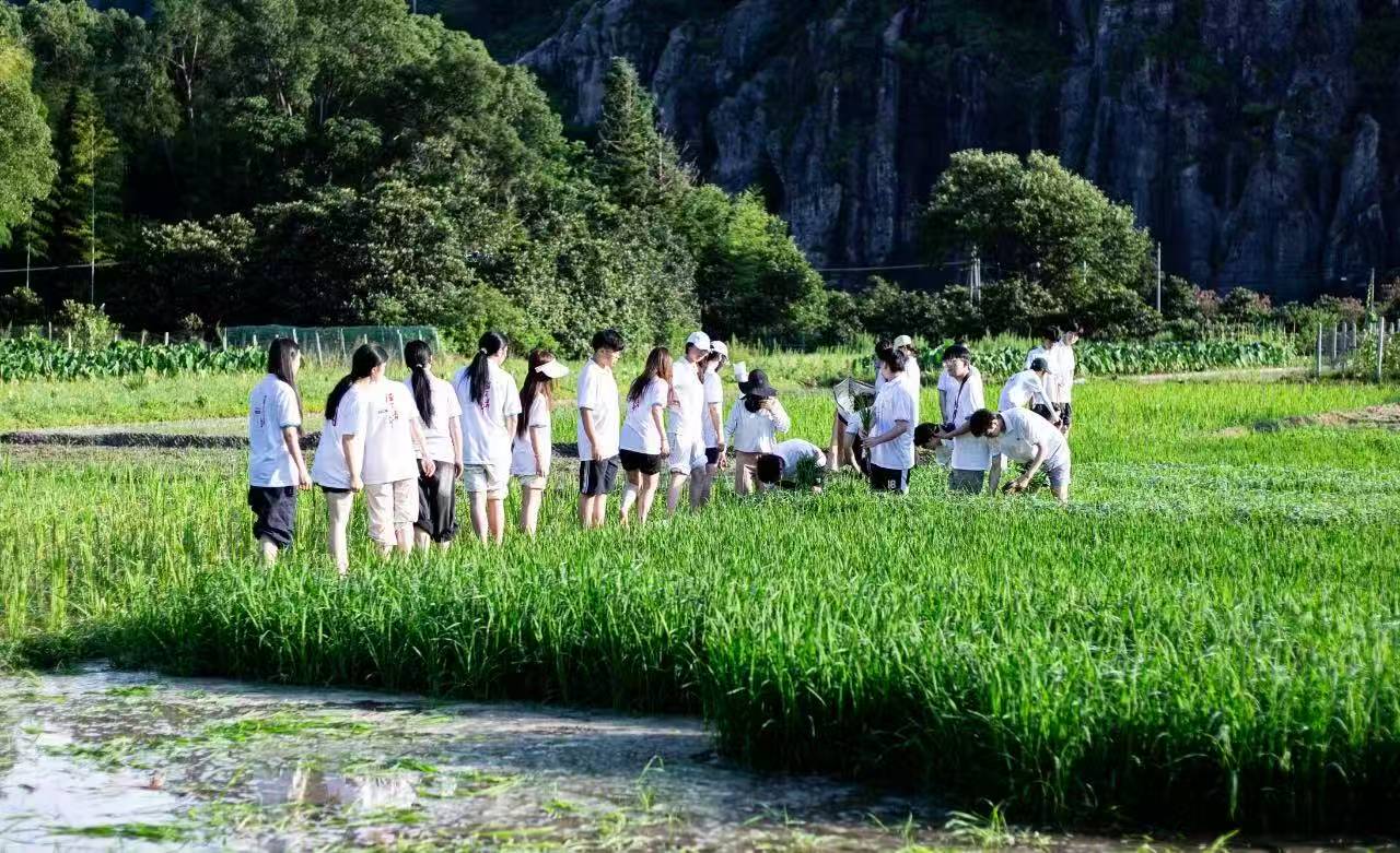 ��������������g���^ ���ഺ���`�L��"��ɽ"�D��