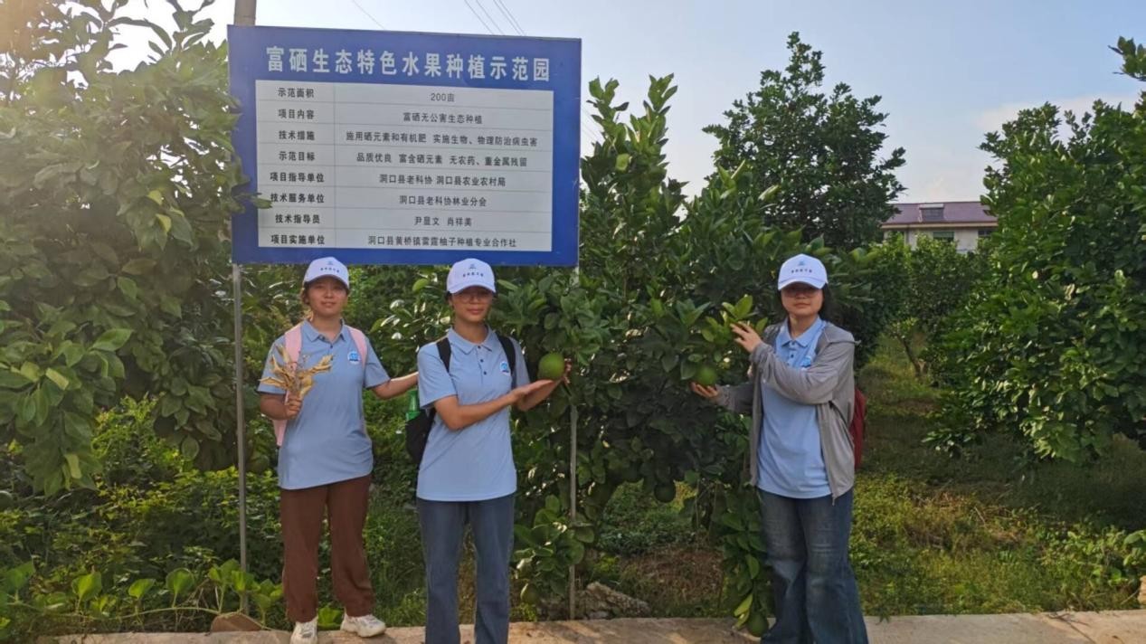 ���־Yѩ�壬�����B���l