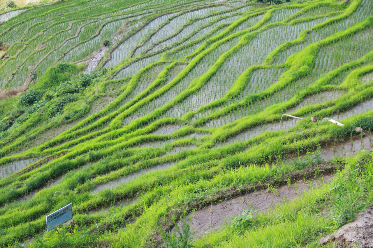 �I���l�����Lò��̽���r�����ں���·��