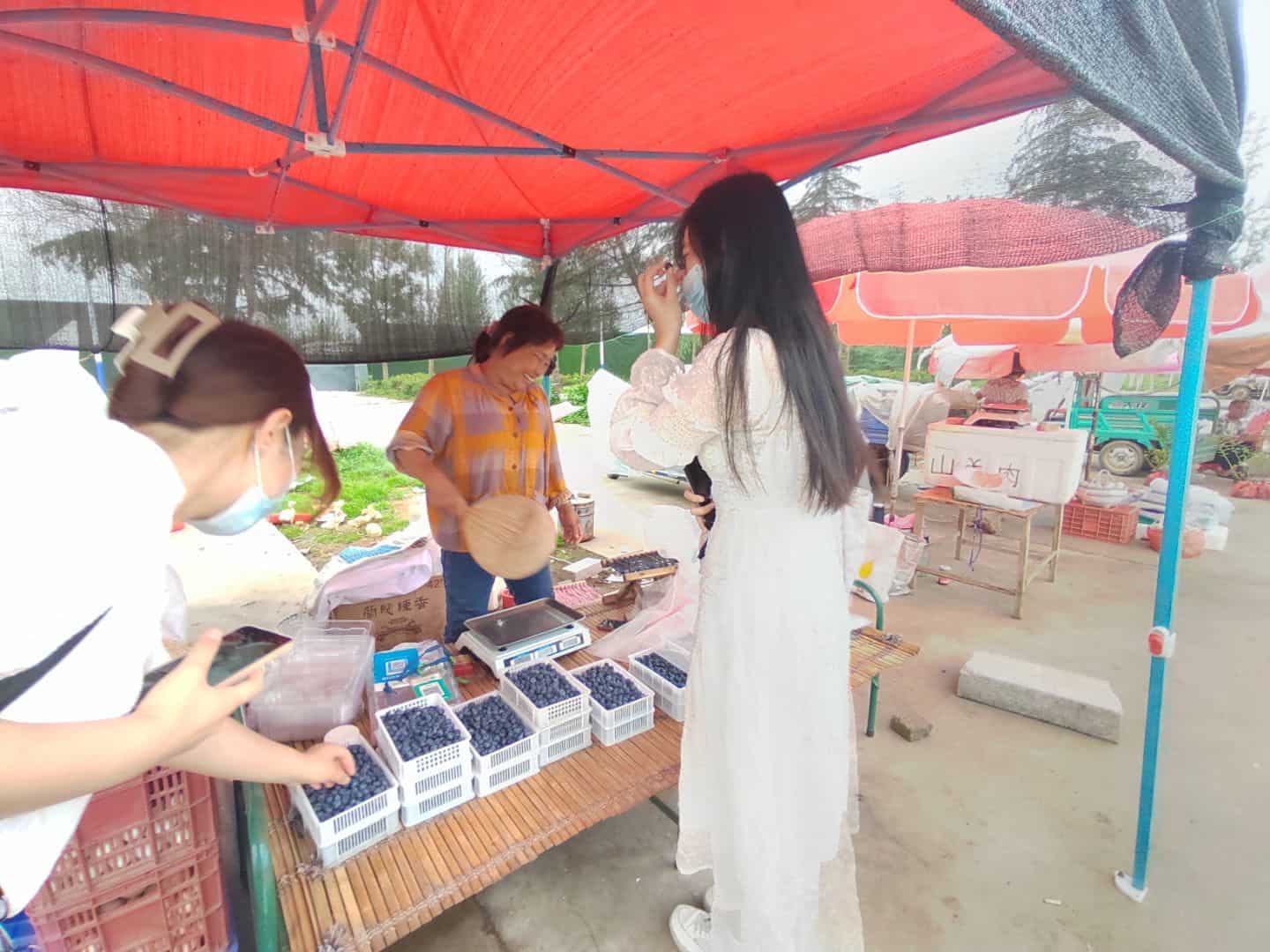 �����a�W�С��������ЌW��ɫ·��