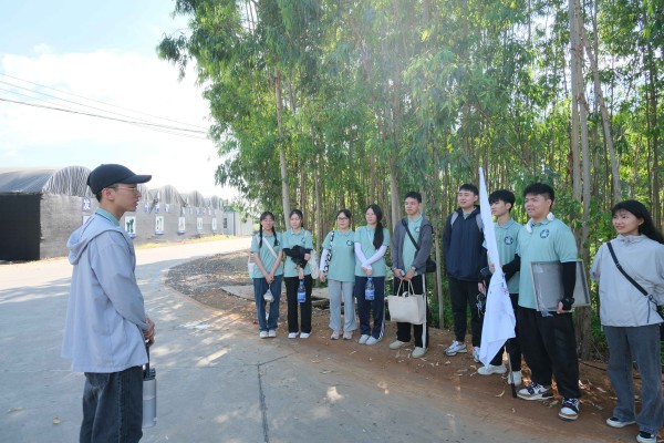 ̽����ɭ�֣����Gɫ���B