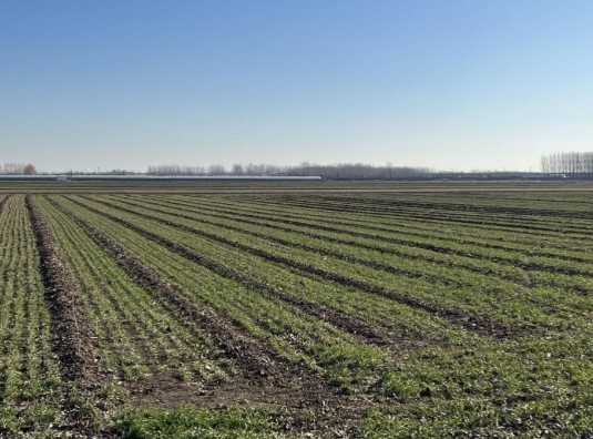 �l(f��)չ������r(n��ng) �����Zʳ��ȫ