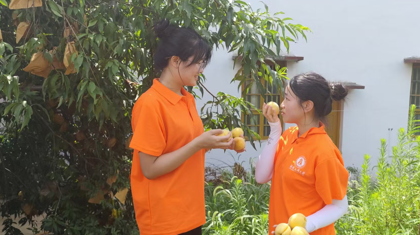 ���Ϲ��̴�W(xu��)����퍽�˒�F(tu��n)�������l(xi��ng)�����d���������l(xi��ng)��˒�l(xi��ng)���S�Ҝ��N�y�}