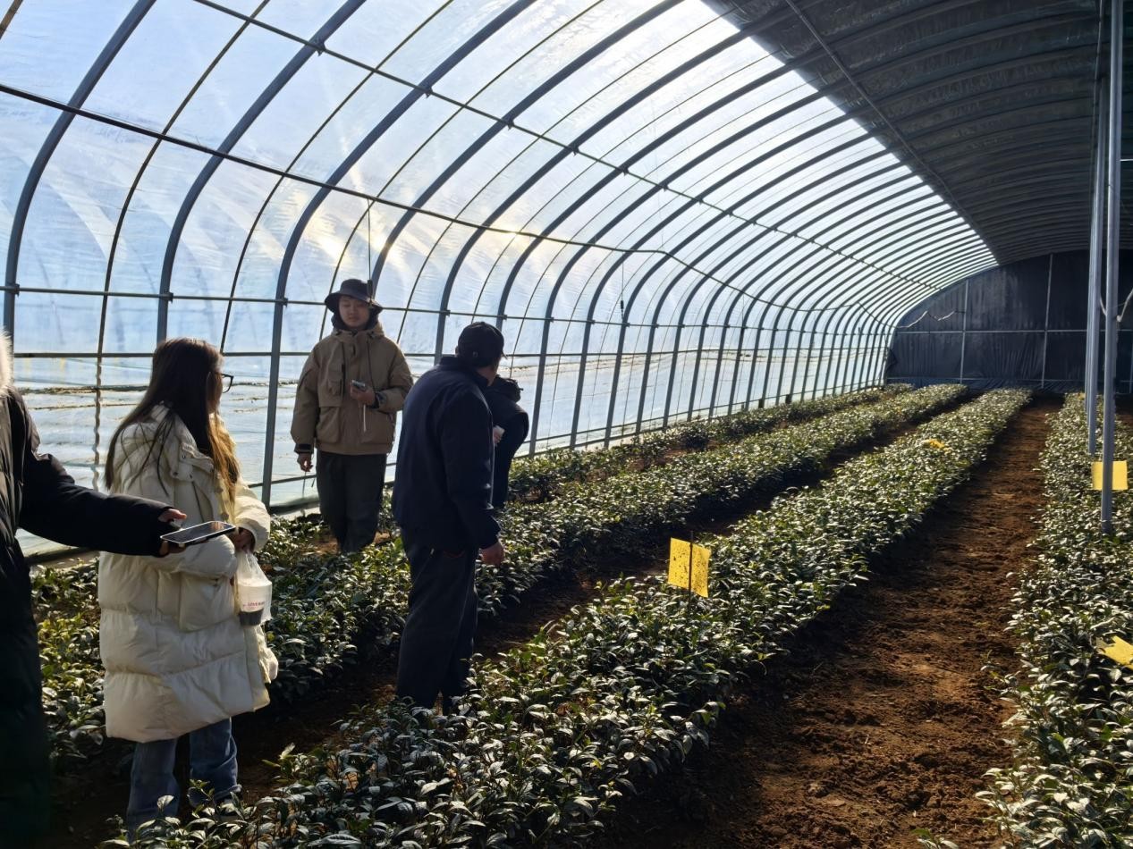 �Ƽ��x�ܲ��~�a(ch��n)�I(y��)���ഺ�����l(xi��ng)�����d