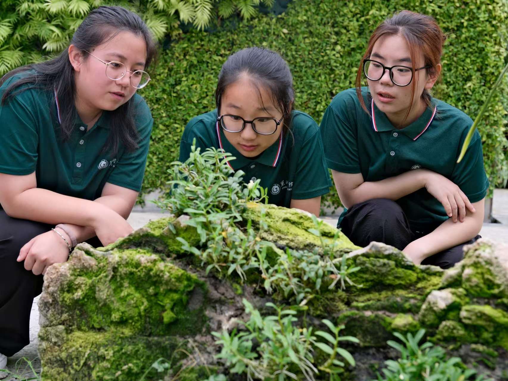 ���M��ɽ��׷��ʯ��֮��