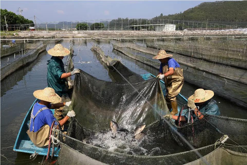 ��ɽ��W(xu��)�W(xu��)���ǻۆ������Ƽ�֮�����x�ܶ����O�I(y��)�v�w