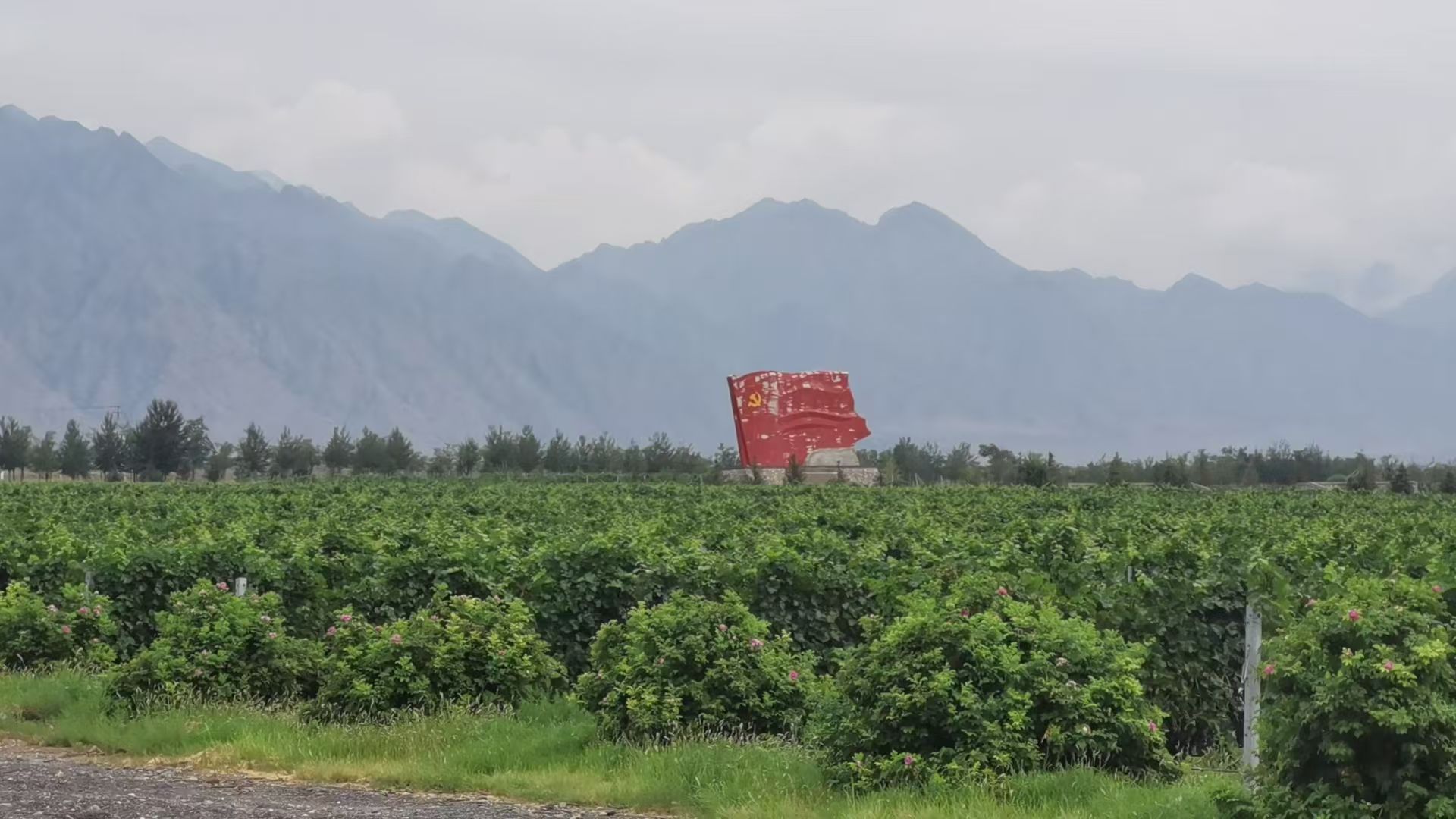 �R�mɽ�_�µ����Ѿ�ˇ�g(sh��)֮�á������M�R���׾��f