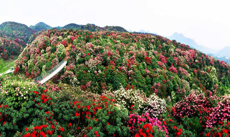 ���f��ů���P(gu��n)�ۃ�ͯ