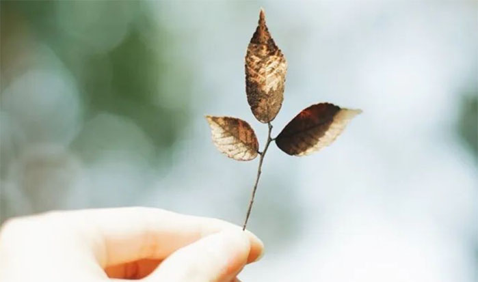 һ���������